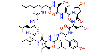 Lobocyclamide A